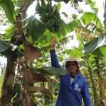 Foto: Isabela Menezes