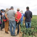 Foto: Isabela Menezes