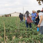 Foto: Isabela Menezes