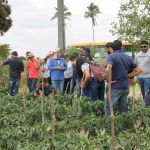 Foto: Isabela Menezes