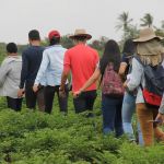 Foto: Isabela Menezes