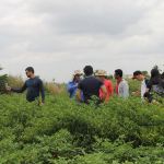 Foto: Isabela Menezes