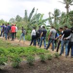 Foto: Isabela Menezes