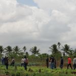 Foto: Isabela Menezes