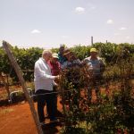 Fotos: Arquivo pessoal