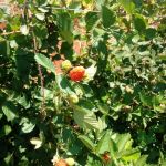 Fotos: Arquivo pessoal