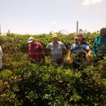 Fotos: Arquivo pessoal