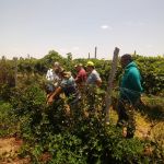 Fotos: Arquivo pessoal