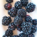 Fotos: Arquivo pessoal