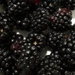 Fotos: Arquivo pessoal