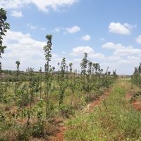 Foto: Arquivo Pessoal