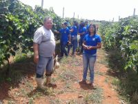 José Leidison é um dos produtores que abrigam um campo experimental de uva em seu lote irrigado (Foto: Arquivo Pessoal)