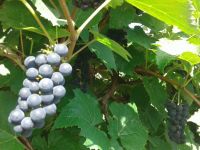 Foto: Arquivo Pessoal