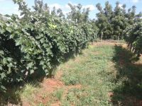 Foto: Arquivo Pessoal