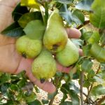 Foto: Arquivo pessoal