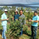 Foto: Arquivo pessoal