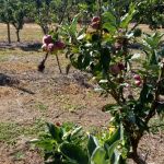 Foto: Arquivo pessoal