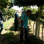 Foto: Arquivo pessoal