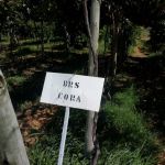 Foto: Arquivo pessoal