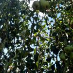 Foto: Arquivo pessoal