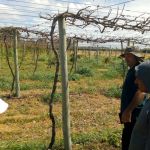 Foto: Arquivo pessoal